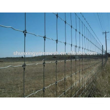 metal cattle fence